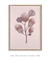 Quadro Decorativo Botânica - Diversidade Rosa