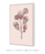 Quadro Decorativo Botânica - Diversidade Rosa - DePoster Content Décor | Loja Online de Quadros Decorativos