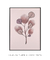 Quadro Decorativo Botânica - Diversidade Rosa - loja online