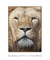 Quadro Decorativo Leão em Foco - comprar online