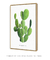 Quadro Decorativo Opuntia Microdasys - comprar online