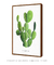 Quadro Decorativo Opuntia Microdasys - DePoster Content Décor | Loja Online de Quadros Decorativos