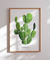 Quadro Decorativo Opuntia Microdasys