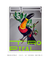 Quadro Decorativo Poster Alma da City Tucano Brasil Tropical - Natureza, Ave, Gravura na internet