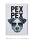 Quadro Decorativo Poster Animais Cachorro Fox Terrier - Frase, Pex Pex - DePoster Content Décor | Loja Online de Quadros Decorativos