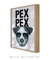 Quadro Decorativo Poster Animais Cachorro Fox Terrier - Frase, Pex Pex