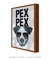 Imagem do Quadro Decorativo Poster Animais Cachorro Fox Terrier - Frase, Pex Pex