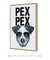 Quadro Decorativo Poster Animais Cachorro Fox Terrier - Frase, Pex Pex