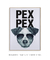 Quadro Decorativo Poster Animais Cachorro Fox Terrier - Frase, Pex Pex - loja online