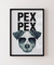 Quadro Decorativo Poster Animais Cachorro Fox Terrier - Frase, Pex Pex