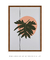 Quadro Decorativo Poster Desenho Folha Philodendron - DePoster Content Décor | Loja Online de Quadros Decorativos