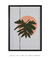 Quadro Decorativo Poster Desenho Folha Philodendron