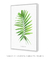 Quadro Decorativo Poster Folha Palmeira, Ptychosperma - Aquarela na internet