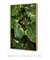 Imagem do Quadro Decorativo Poster Fotografia Natureza Planta Jiboia - Folhas, Folhagem, Verde