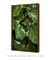 Imagem do Quadro Decorativo Poster Fotografia Natureza Planta Jiboia - Folhas, Folhagem, Verde