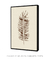 Quadro Decorativo Poster Natureza Folha de Palmeira - Folha Seca - DePoster Content Décor | Loja Online de Quadros Decorativos
