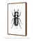 Quadro Decorativo Poster Natureza Inseto Besouro - Preto e Branco, Minimalista - DePoster Content Décor | Loja Online de Quadros Decorativos