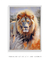 Quadro Decorativo Poster Pintura de Leão - DePoster Content Décor | Loja Online de Quadros Decorativos