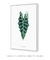 Quadro Decorativo Poster Planta Alocasia Amazônica - FlowersJuls, Pintura, Aquarela - DePoster Content Décor | Loja Online de Quadros Decorativos