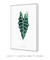 Imagem do Quadro Decorativo Poster Planta Alocasia Amazônica - FlowersJuls, Pintura, Aquarela