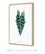 Quadro Decorativo Poster Planta Alocasia Amazônica - FlowersJuls, Pintura, Aquarela