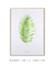 Quadro Decorativo Poster Planta Dypsis Lutescens, Areca-bambu - Aquarela - loja online