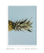 Quadro Decorativo Poster Tropical - 1/2 Abacaxi - comprar online