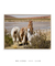 Imagem do Quadro Fotografia Bolívia Llama Curiosa
