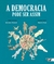 Livro A Democracia Pode Ser Assim - Selo Boitatá - Boitempo