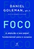 Foco - Goleman, Daniel - Objetiva