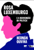 Rosa Luxemburgo e a Reinvenção da Política - Ouviña, Hernán - Boitempo
