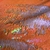 Paetê Reversível Olivia Laranja com branco - comprar online