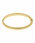 Bracelete Liso BR0109