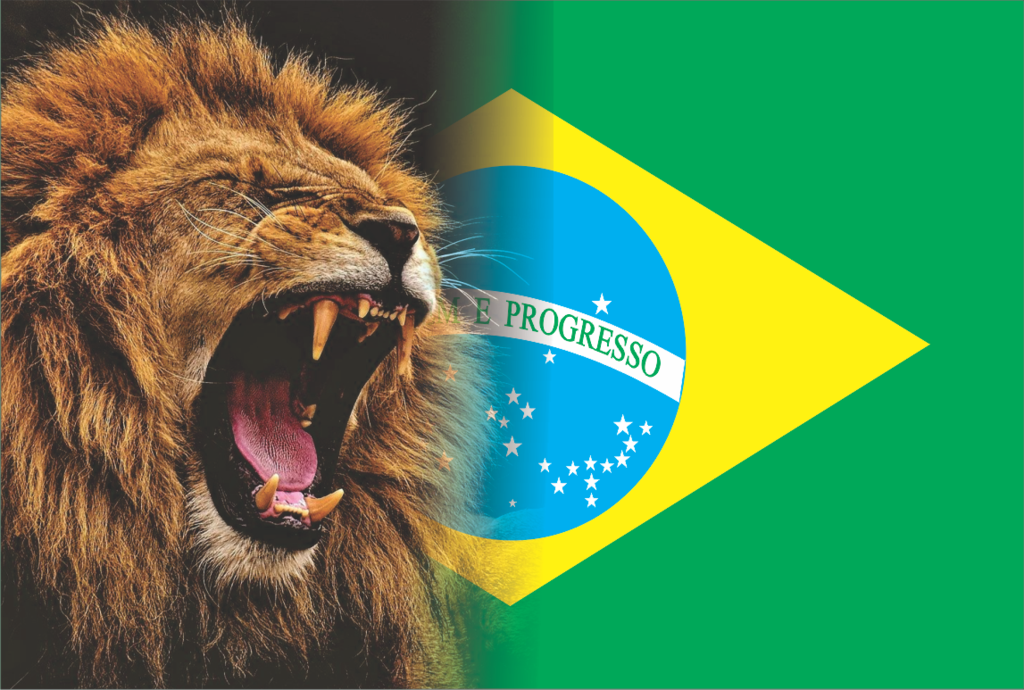 Bandeira Leão Brasil - Comprar em shalom