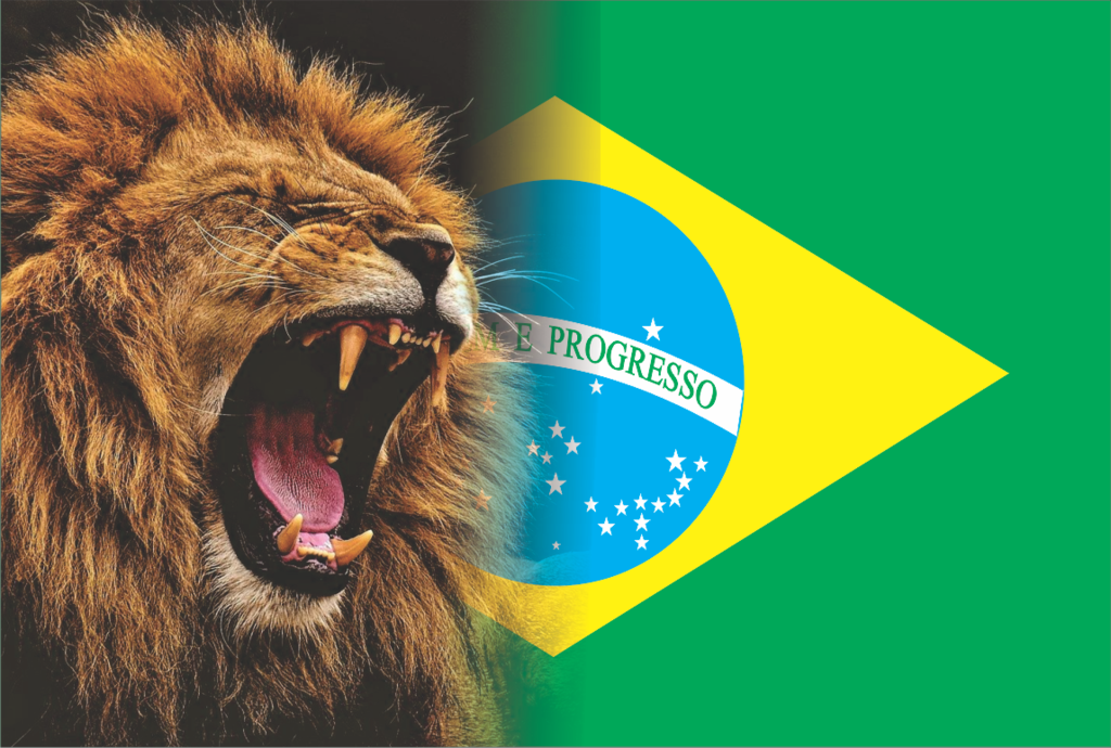 https://acdn.mitiendanube.com/stores/001/104/943/products/leao-brasil1-5ee57112de2525760f16661907871403-1024-1024.png