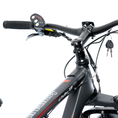 FAT E-BOY X8 Bicicleta eléctrica - comprar online