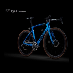 Cuadro CEEPO Stinger 2022 - tienda online