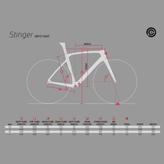 Cuadro CEEPO Stinger 2022 - comprar online