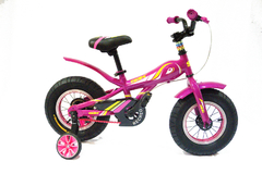 BICICLETA INFANTIL FAT 12 SBK