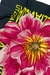Pañuelo Flor en internet