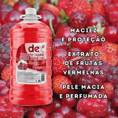 Sabonete Líquido Galão Frutas Vermelhas Proteção 1,9l Dex - comprar online