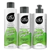 Kit Gota Alecrim e Gengibre Shampoo Condicionador Creme