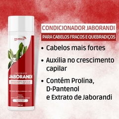 Kit Paiolla Jaborandi Sh + Cond + Mascara 300g Crescimento na internet