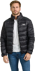 Campera Cantebury Gisborne Jacket