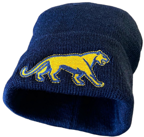 Gorro de Lana de Los Pumas