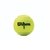 Pelotas De Tenis Wilson Championship - comprar online