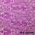 Renda Venilia Pink - Loja de Tecido - Ouro Têxtil Tecidos
