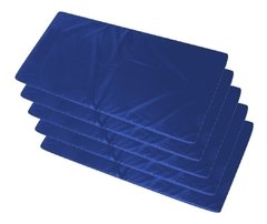 Kit 5 Colchonetes Para Ginástica, Academia 100 X 50 X 3 cm - Orthovida