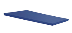 Colchonete Gigante D65 para Academia Creche Escola 1,20x60x4cm Orthovida - Azul