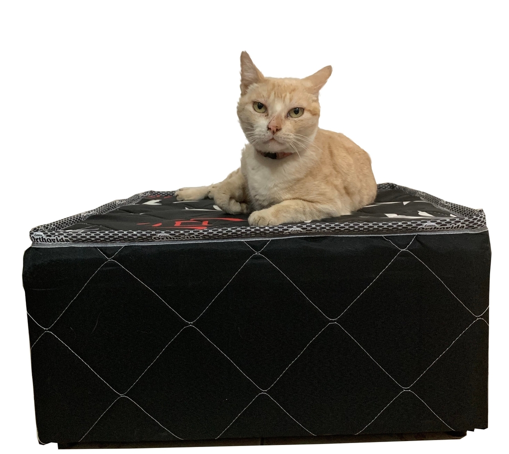 Cama Box para Pet 50x50x22cm, cães e gatos Orthovida